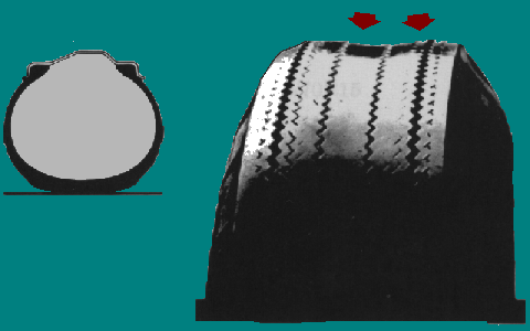 figure1.gif
